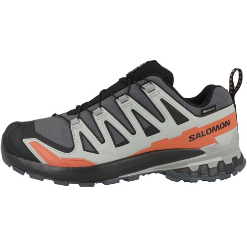 Salomon pro v9 - pro, 3d